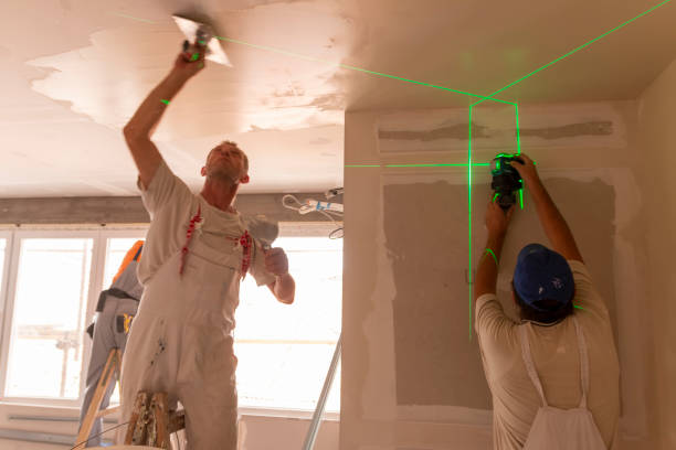 Best Basement Mold Removal  in Keys, OK